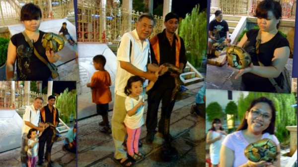 Photos with the Snake Performer’s pets.  Girl in top left and right photos looking nonplussed wondering where was the head of the snake as it was curled into a ball.
